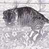 Gilley the Cat